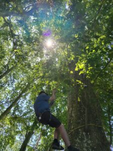 fastoa Sr. beim Versuch auf den Baum zu gelangen